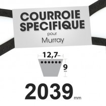Courroie spécifique Murray 37 x 69. 12,7 mm x 2039 mm.