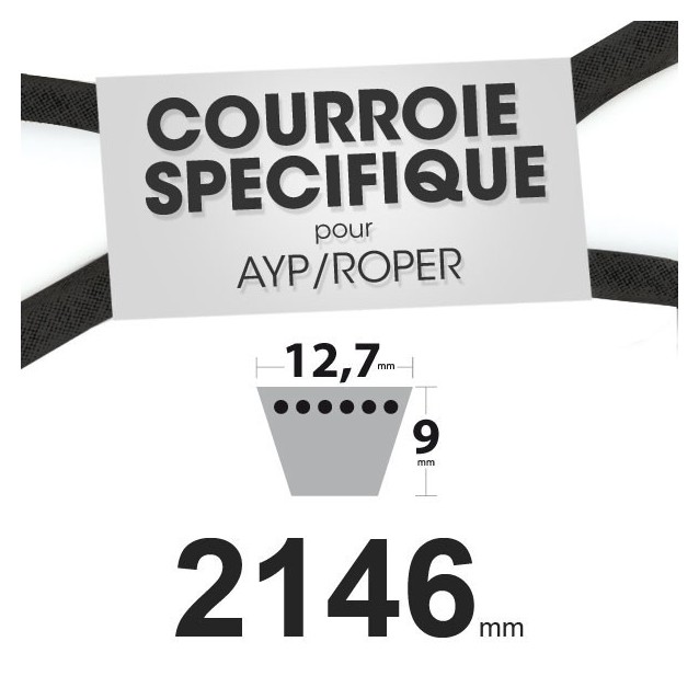 Courroie spécifique AYP/Roper 140218. 12,7 mm x 2146 mm.