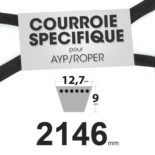Courroie spécifique AYP/Roper 140218. 12,7 mm x 2146 mm.