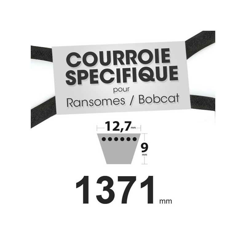 Courroie 12,7 x 1371
