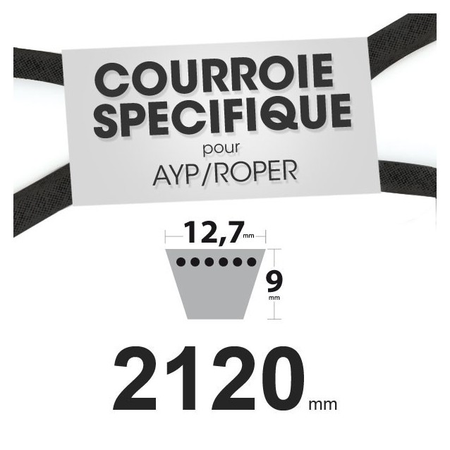 Courroie spécifique AYP/Roper 139573. 12,7 mm x 2120 mm.