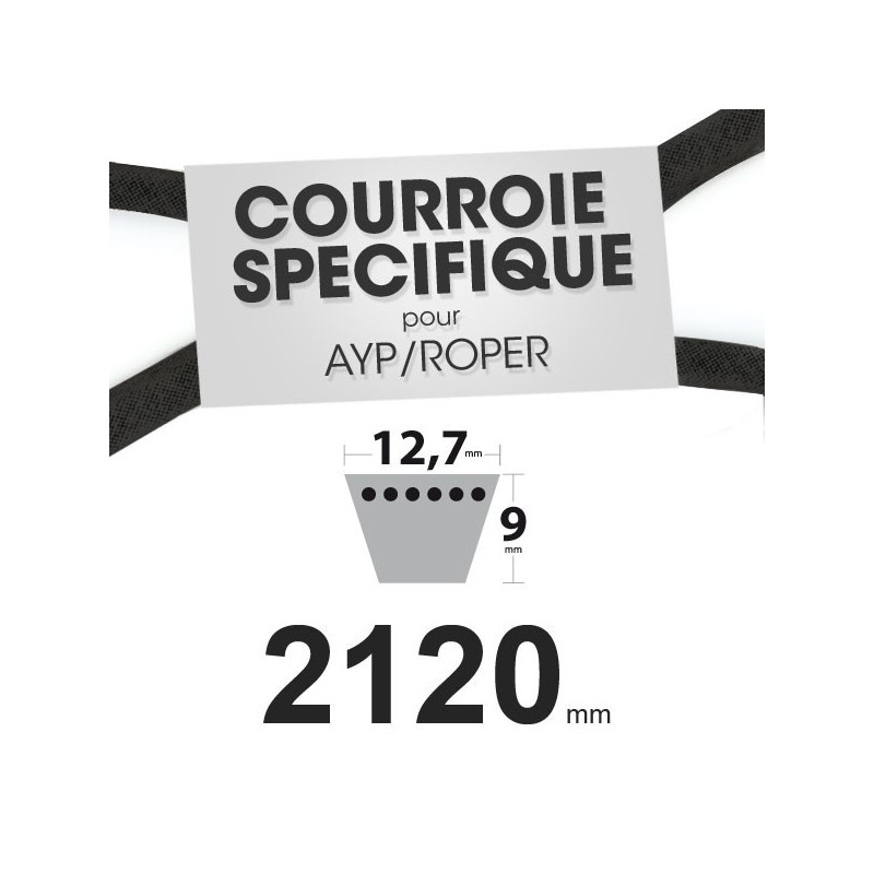 Courroie spécifique AYP/Roper 139573. 12,7 mm x 2120 mm.