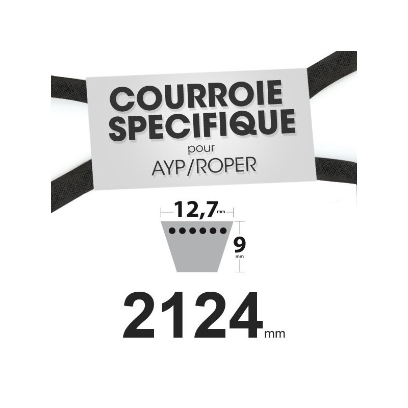 Courroie spécifique AYP/Roper 158818. 12,7 mm x 2124 mm.