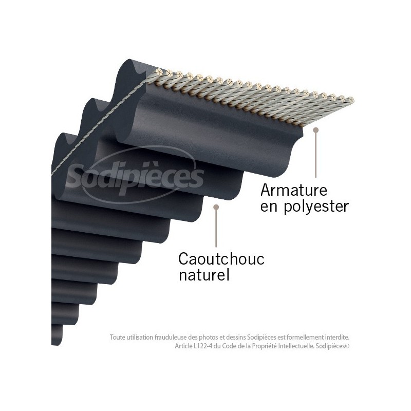 Courroie 1800DS8M24 Double denture. 25 mm x 1800 mm.