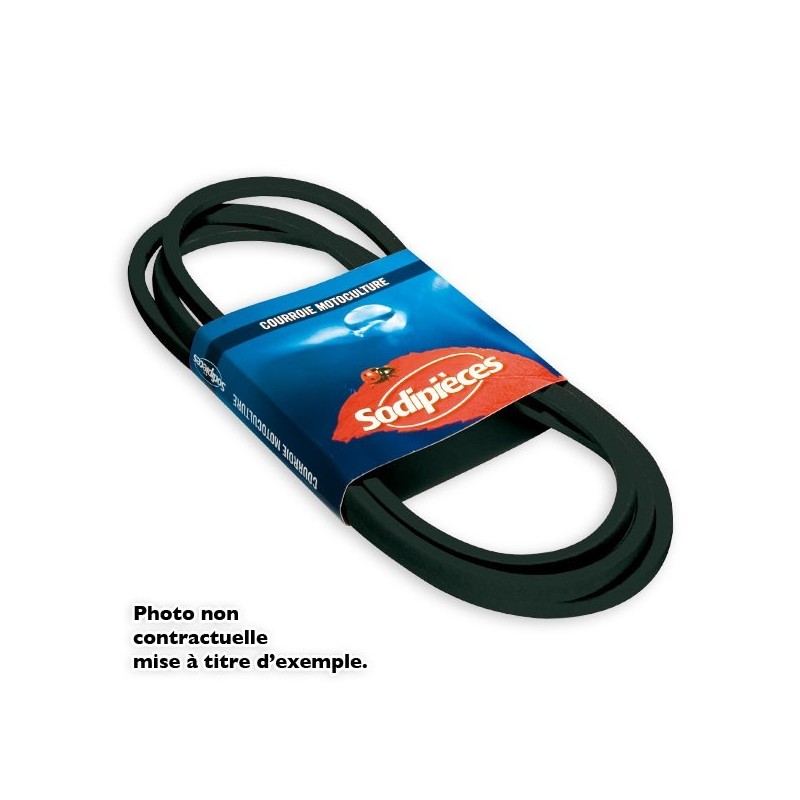 Courroie spécifique Murray 37 x 62. 12,7 mm x 2183 mm.