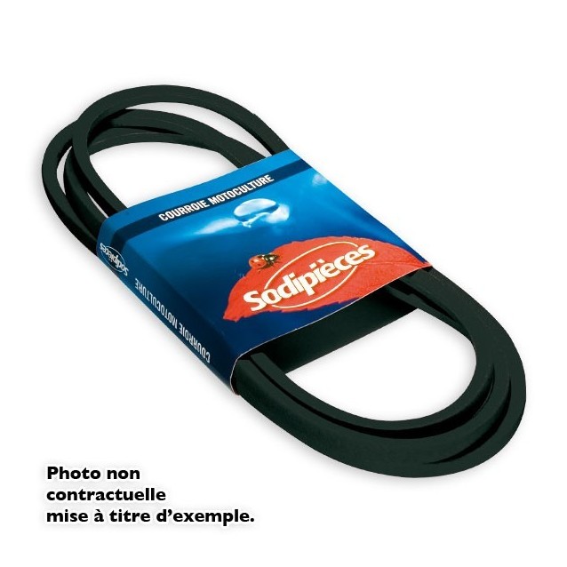 Courroie. 15,8 x 1730