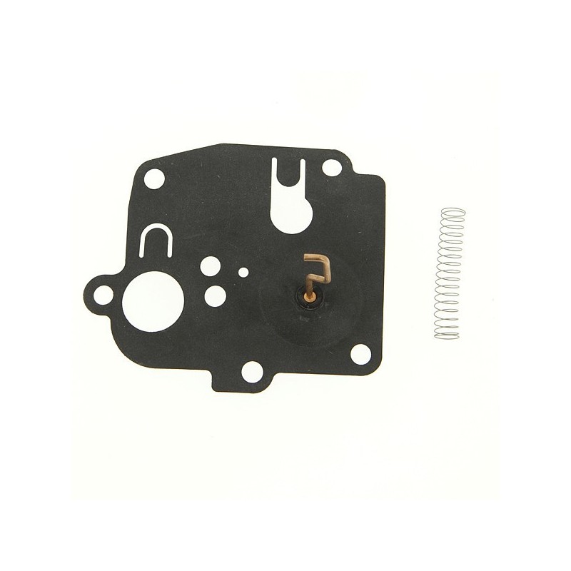 Membrane pour Briggs & Stratton 391681