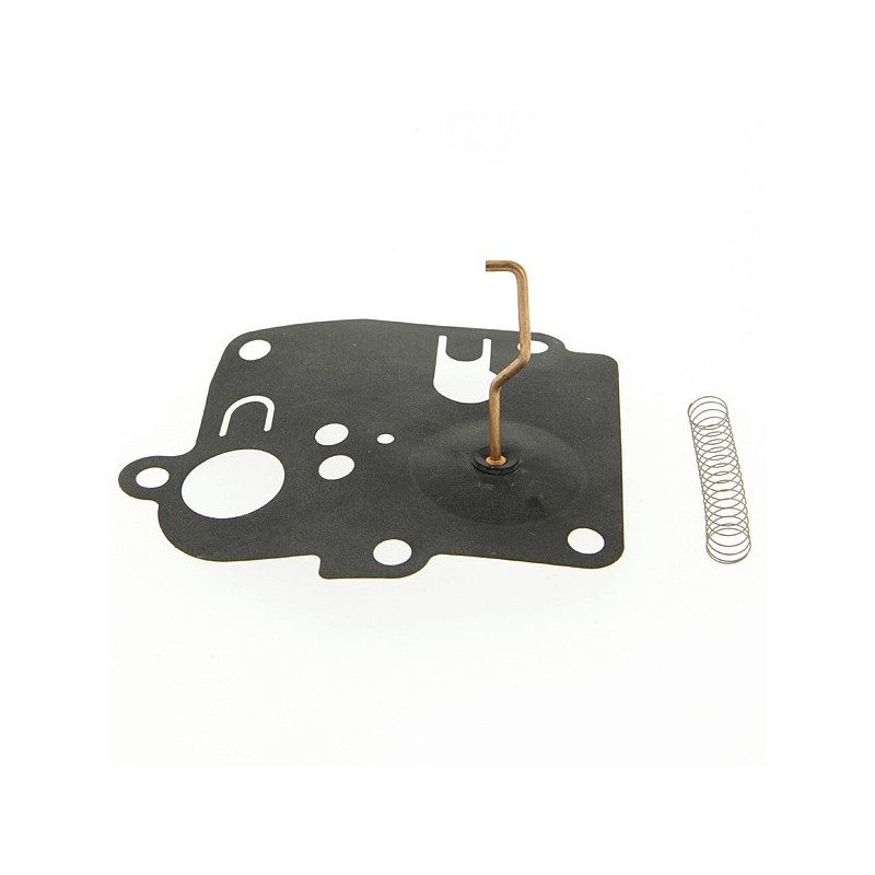 Membrane pour Briggs & Stratton 391681