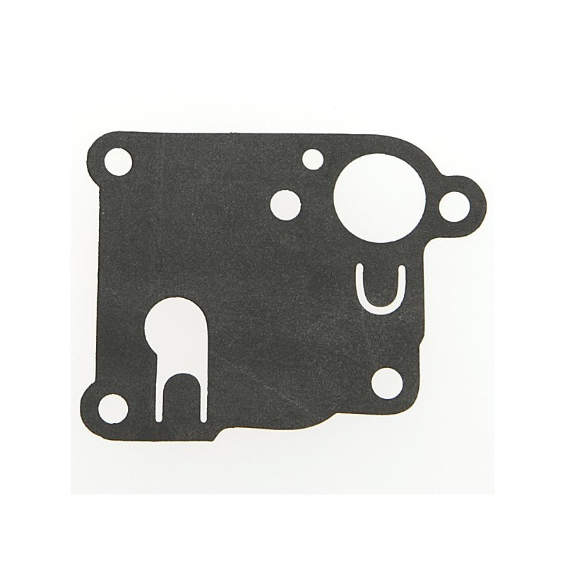 Membrane pour B&S 270253