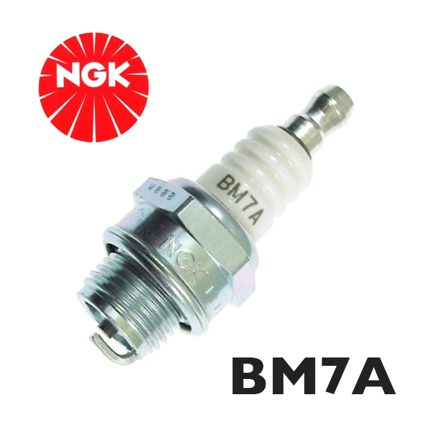 Bougie NGK type BM7A