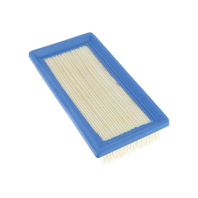 Filtre à air pour B&S 491384 et 496077