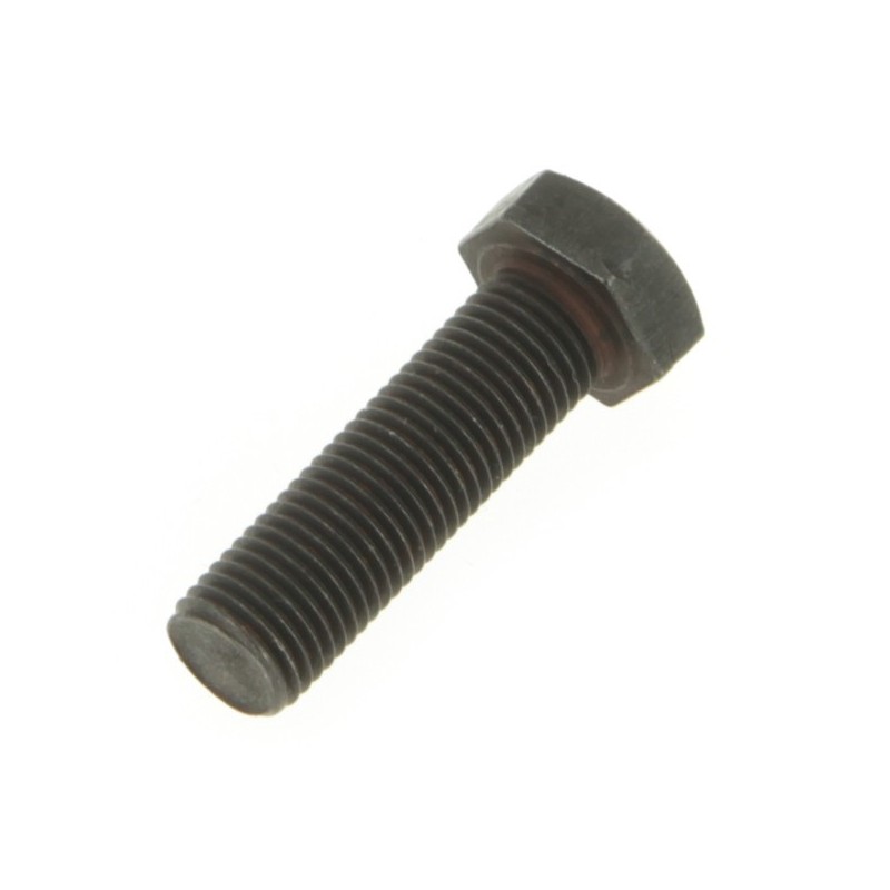 Vis de lame pas à gauche diam 9,5 mm. Pour AYP