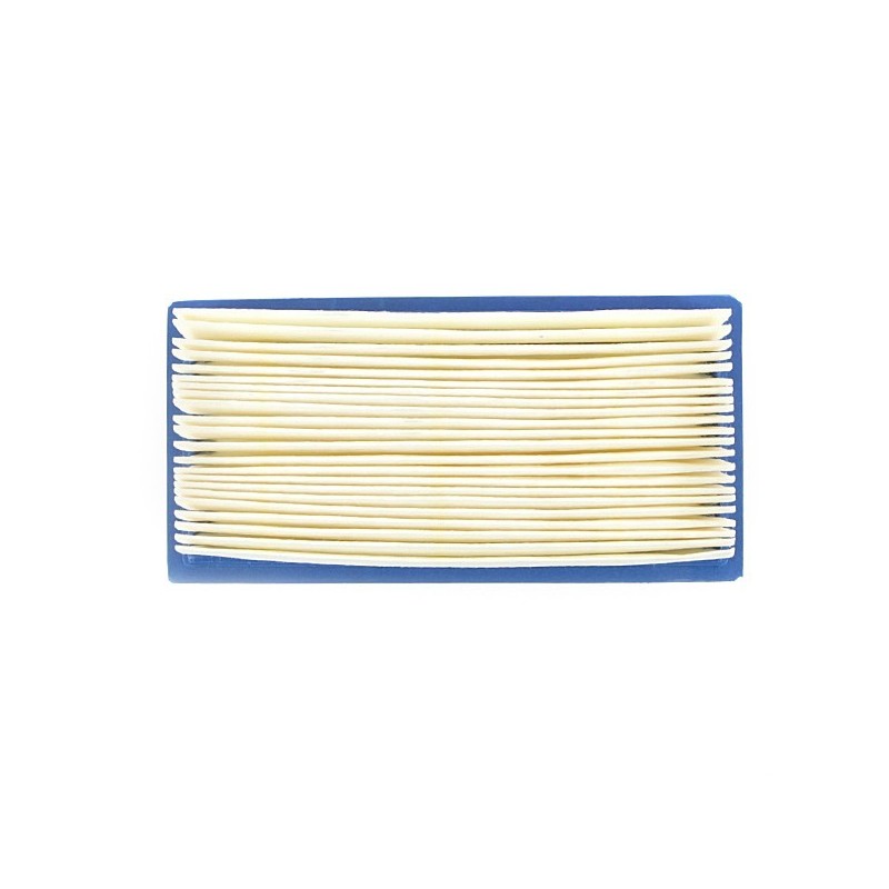 Filtre à air pour B&S 491384 et 496077