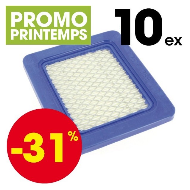 Filtre à air pour Briggs et Stratton 399959 10 ex