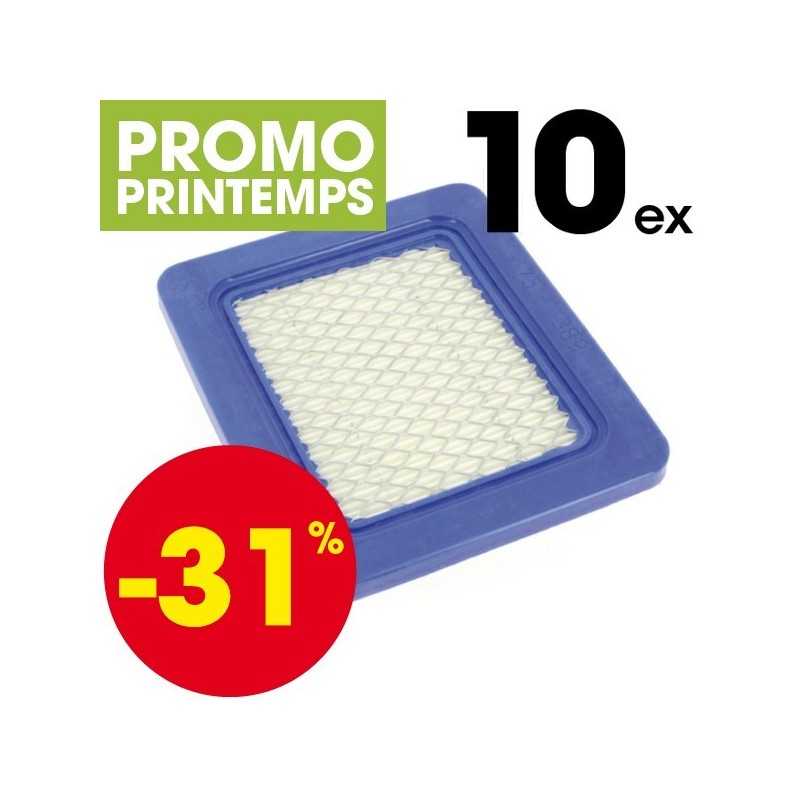 Filtre à air pour Briggs et Stratton 399959 10 ex