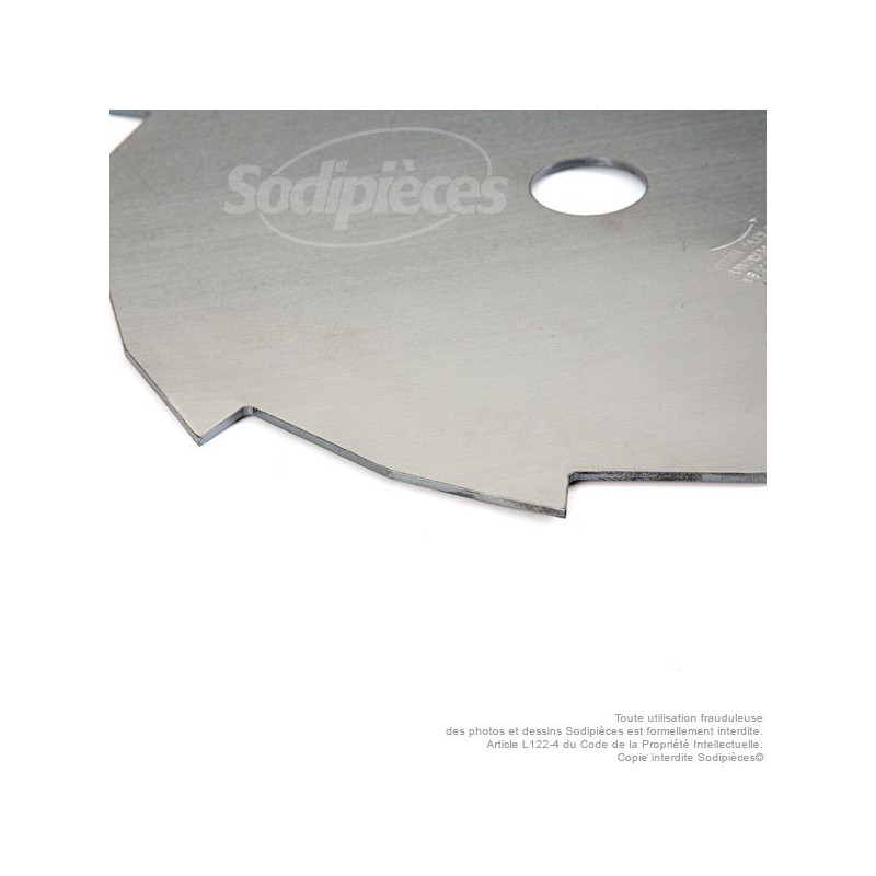 Lame débroussailleuse 10 dents Ø coupe 250 mm. Ale : 25,4 mm