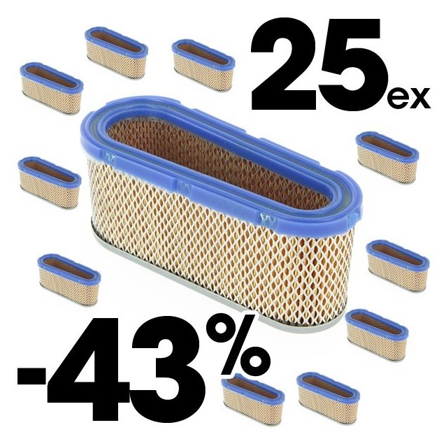 Filtre à air pour Briggs & Stratton 493909-496894. Par 10