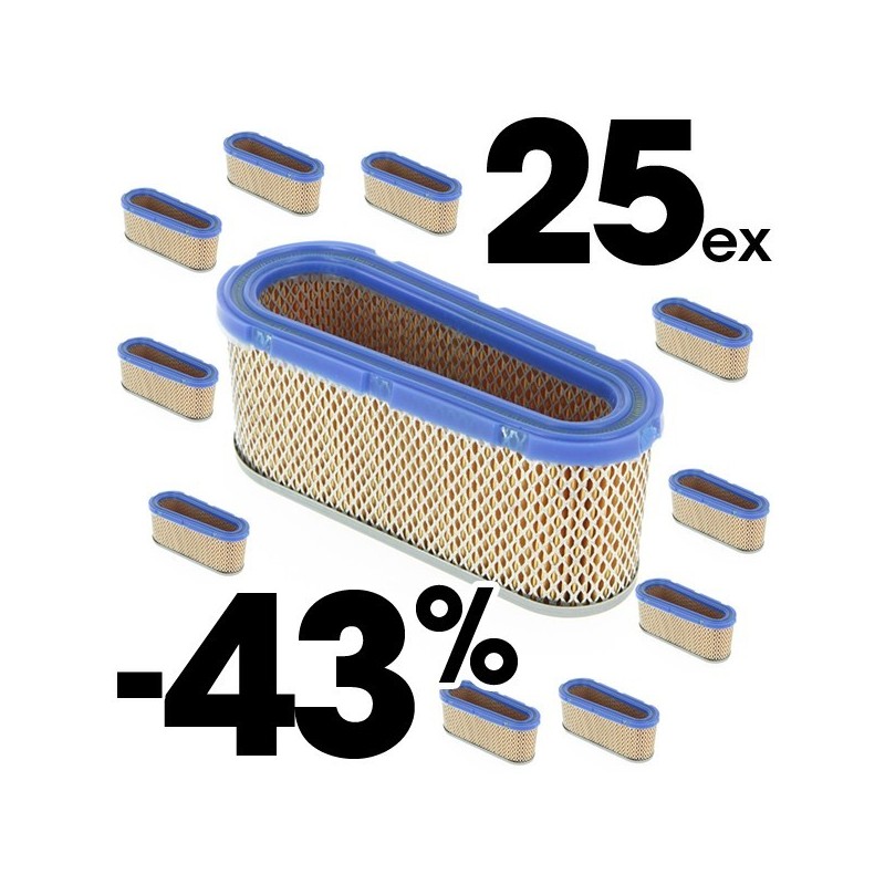 Filtre à air pour Briggs & Stratton 493909-496894. Par 10