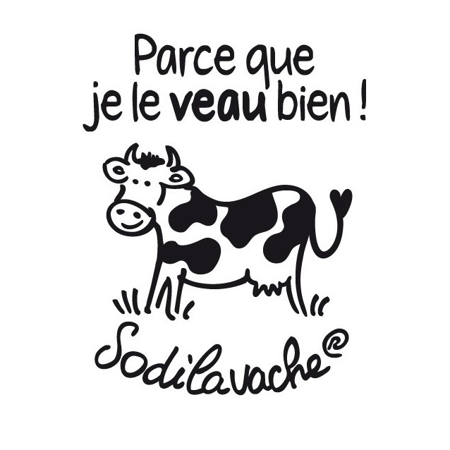 T.Shirt : " Parce que je le veau bien ! " 5/6 ans