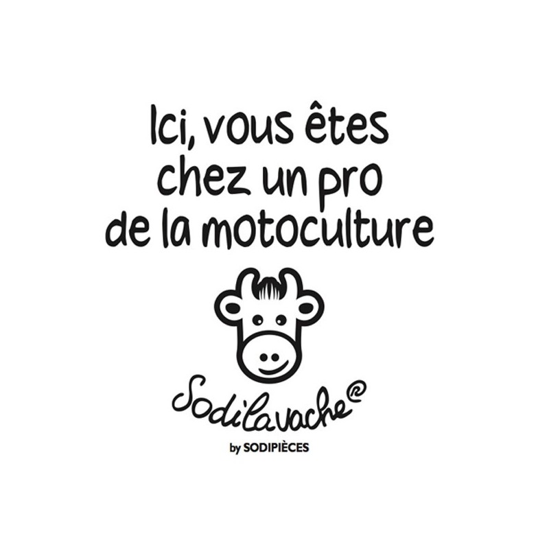 T.Shirt : " Parce que je le veau bien ! " 3/4 ans