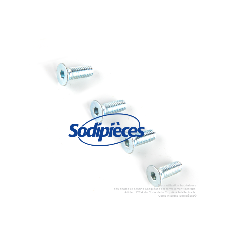 Tête débroussailleuse alu 2 fils Speed - Kit 4 vis 5x12 vis 