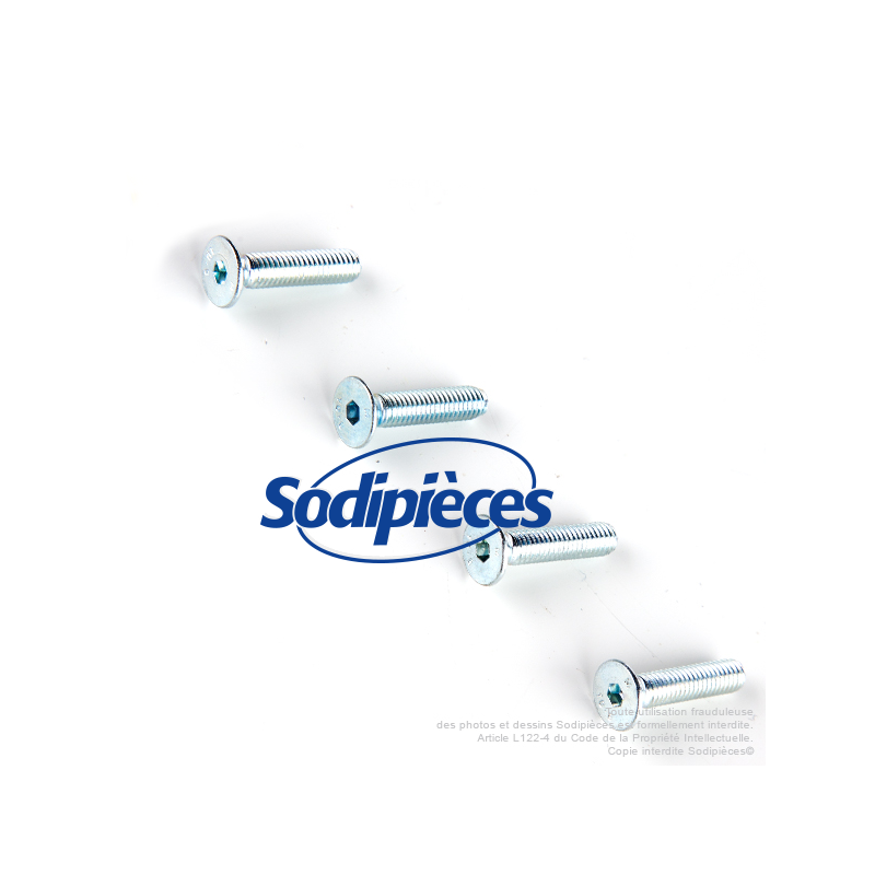 Tête débroussailleuse alu 4 fils Speed - Kit 4 vis 5x22