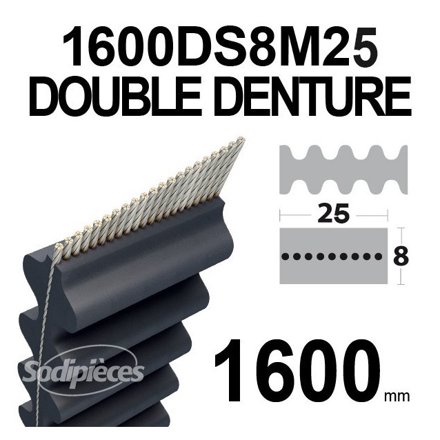 Courroie 1600DS8M25 Double Denture. 25 mm x 1600 mm.