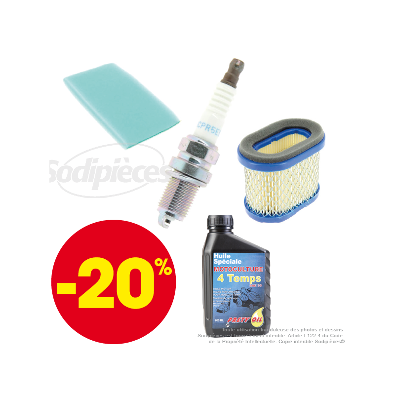 Kit d’entretien complet pour moteurs Briggs & Stratton Intek Vertical 5.5cv à 6.5CV, Intek Pro Horizontal 6.5CV