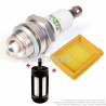 Kit filtre-bougie pour FS
