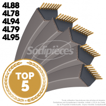 Lot de 5 courroies 4L les plus vendues !