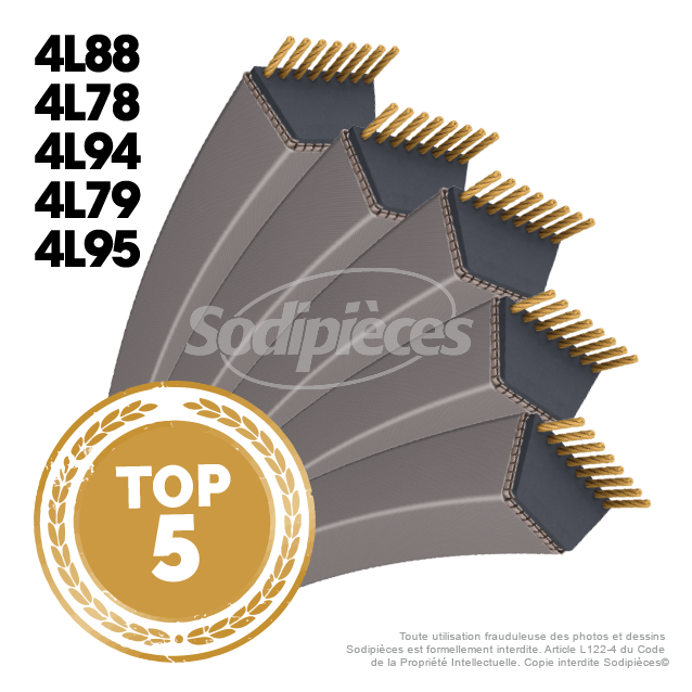 Lot de 5 courroies 4L les plus vendues !