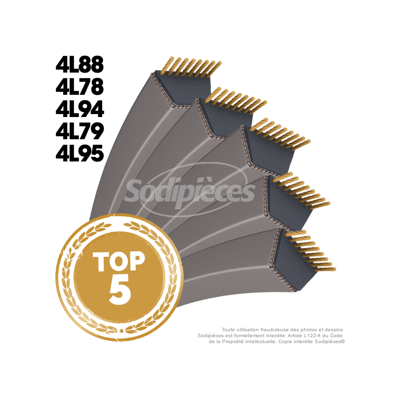 Lot de 5 courroies 4L les plus vendues !