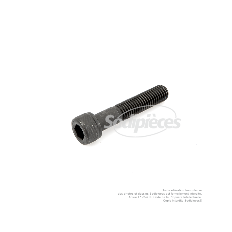 Vis de lame à tête Inbus pour SABO N° origine : 29825, 30115, SA29825 et SA30115