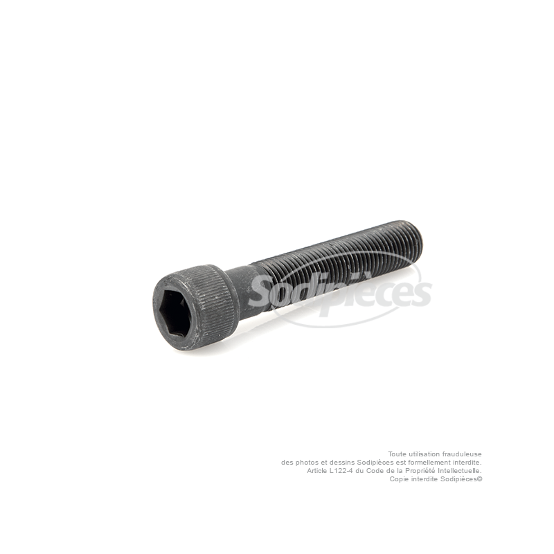 Vis de lame à tête Inbus pour SABO. N° origine : 29475, SA29475