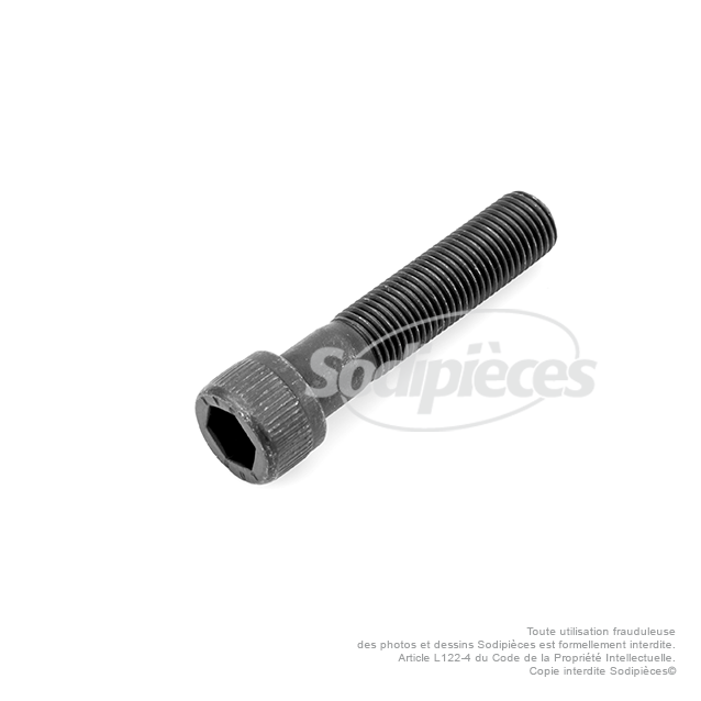 Vis de lame à tête Inbus pour SABO. N° origine : 11866, SA11866