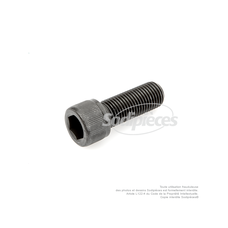 Vis de lame à tête Inbus pour SABO N° origine 29692, SA29692