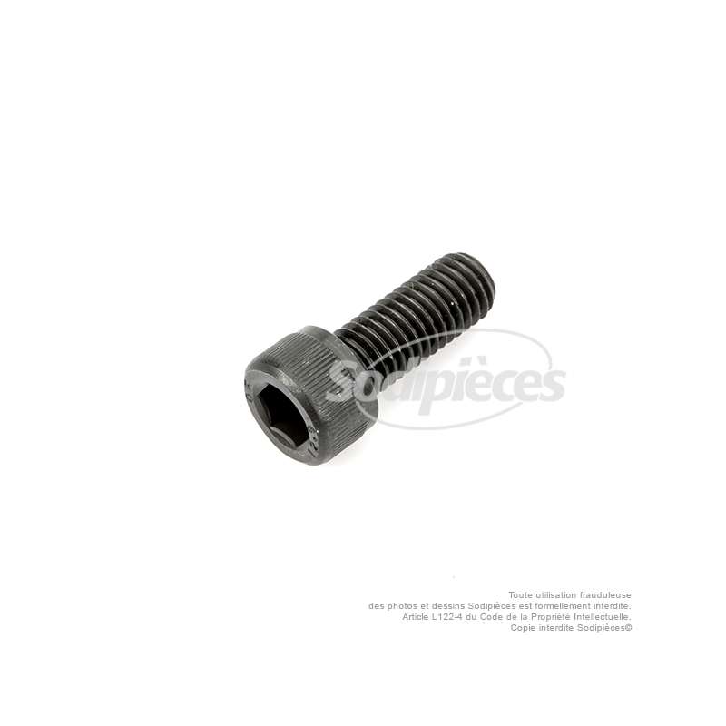 Vis de lame à tête Inbus pour SABO N° origine  29691, SA29691