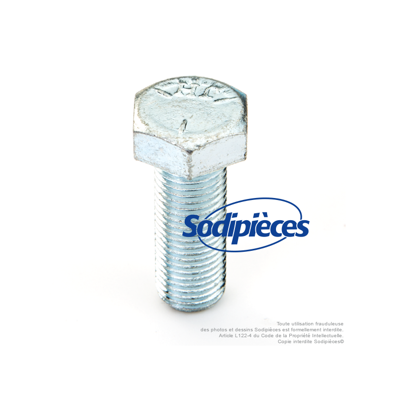 Vis de lame pour Noma. N° origine : 39573