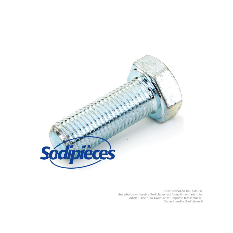 Vis de lame pour Noma. N° origine : 39573