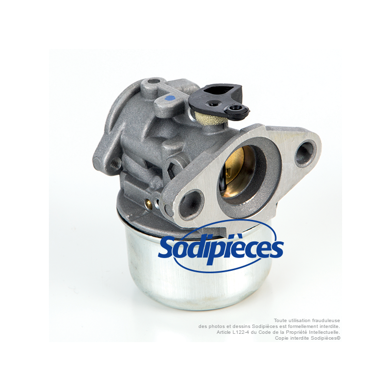 Carburateur Briggs et Stratton 498170