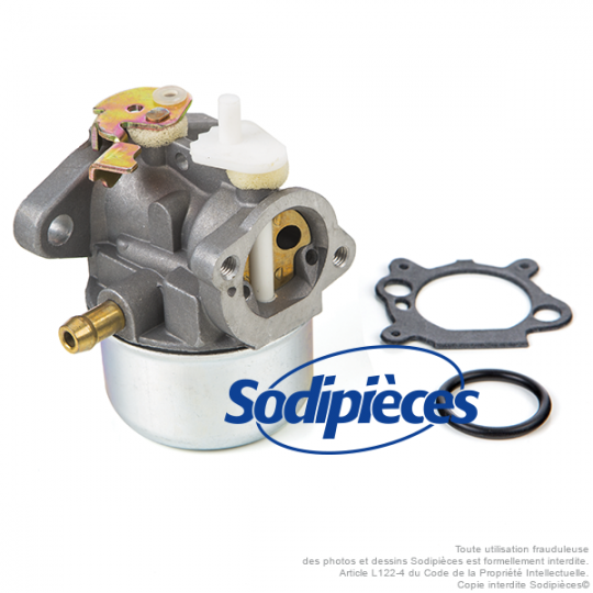 Carburateur pour Briggs et Stratton 499059