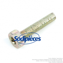 Vis pour Stihl MS170 et MS180. M5x25