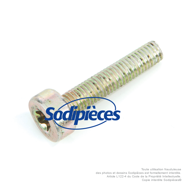 Vis pour Stihl MS170 et MS180. M5x25