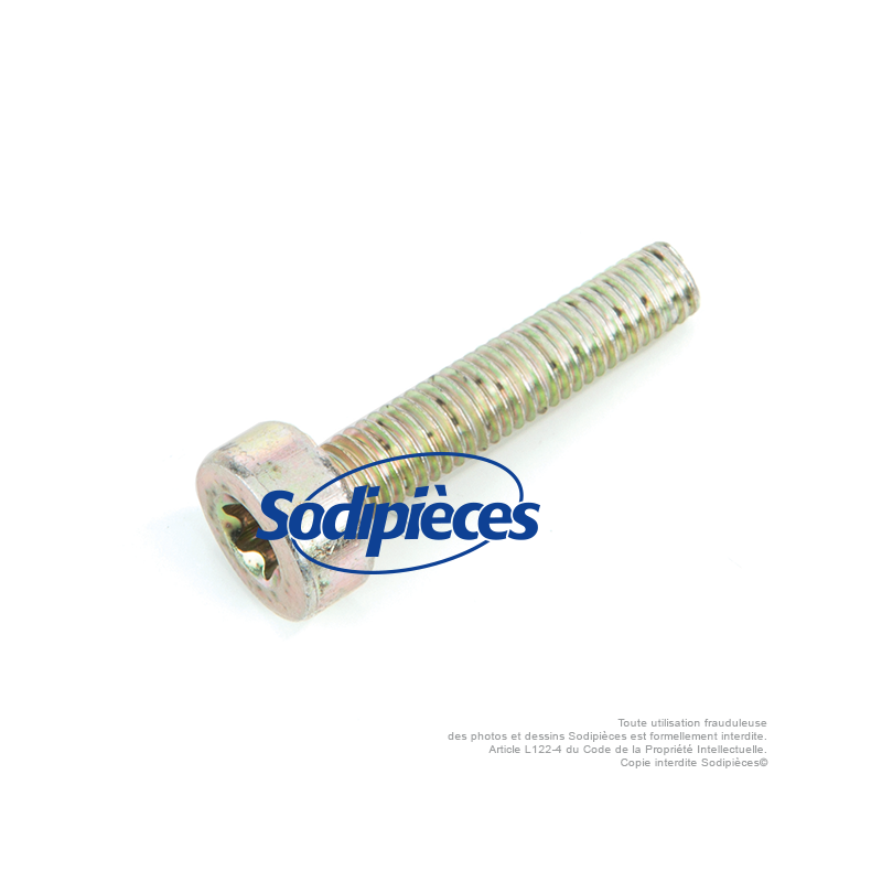 Vis pour Stihl MS170 et MS180. M5x25