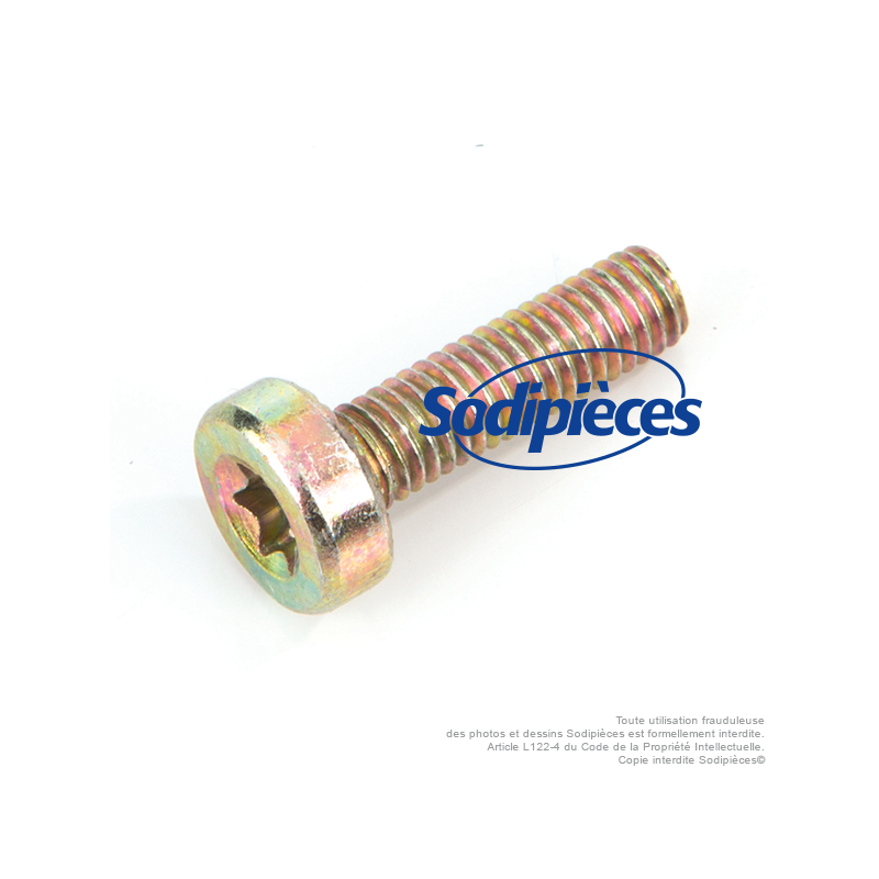 Vis pour Stihl MS180. IS-D5 x 24