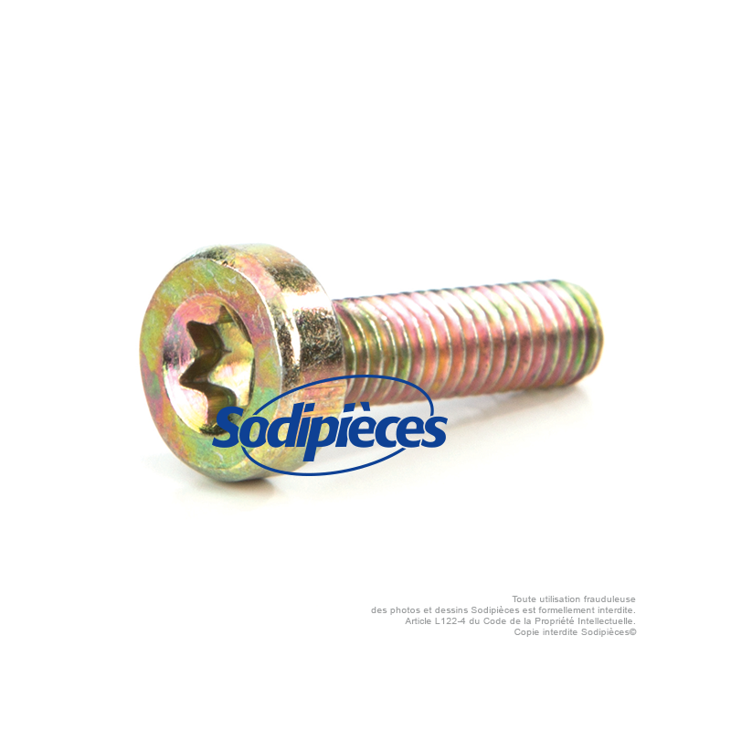 Vis pour Stihl MS180. IS-D5 x 24