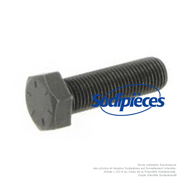 Vis de lame pas à droite Pour Castel Garden 12736582/0