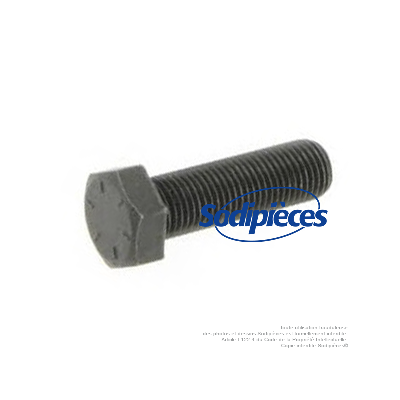 Vis de lame pas à droite Pour Castel Garden 12736582/0