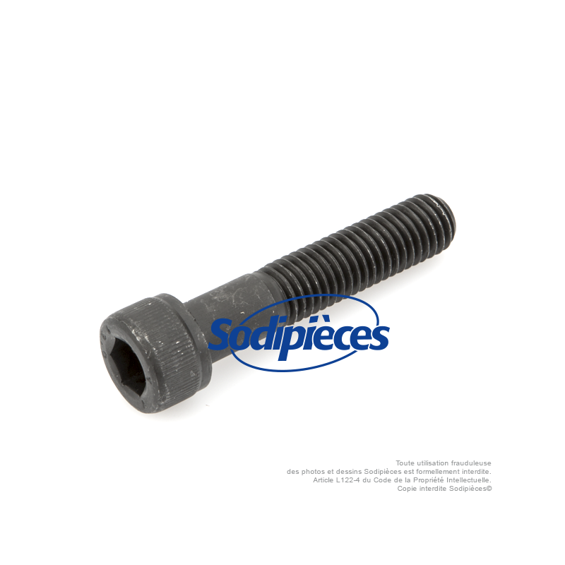 Vis de lame à tête Inbus pour SABO N° origine 11903, SA11903