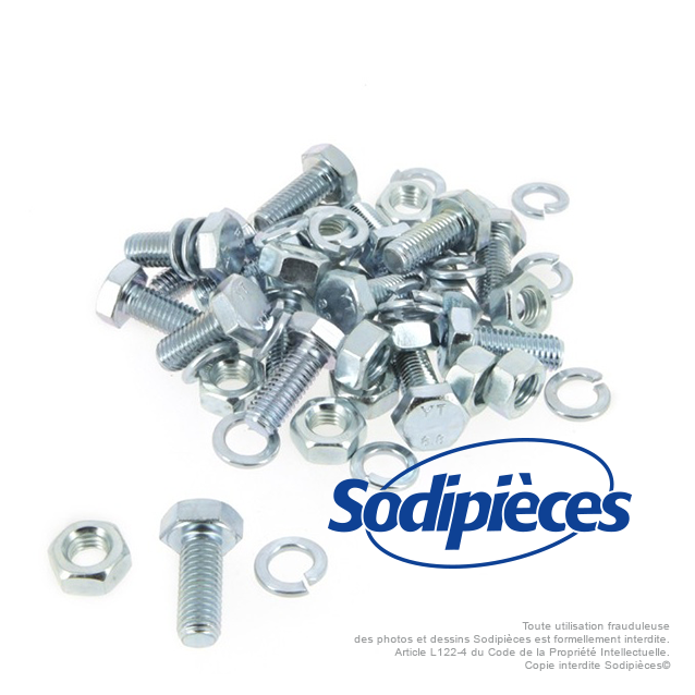 Boulons diam 10 mm x 25 mm . Lot de 25.